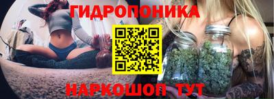 метадон Заволжье
