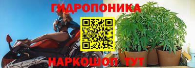 трава Заводоуковск
