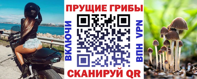 Галлюциногенные грибы мухоморы кракен онион Нижнеудинск