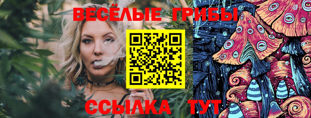 Галлюциногенные грибы прущие грибы  Вход с VPN  Нижнеудинск 